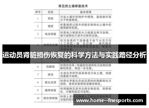 运动员肾脏损伤恢复的科学方法与实践路径分析